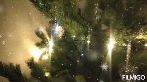 Video_20231230153830551_by_Filmigo.mp4