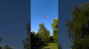 Динамический отпугиватель птиц Канюк