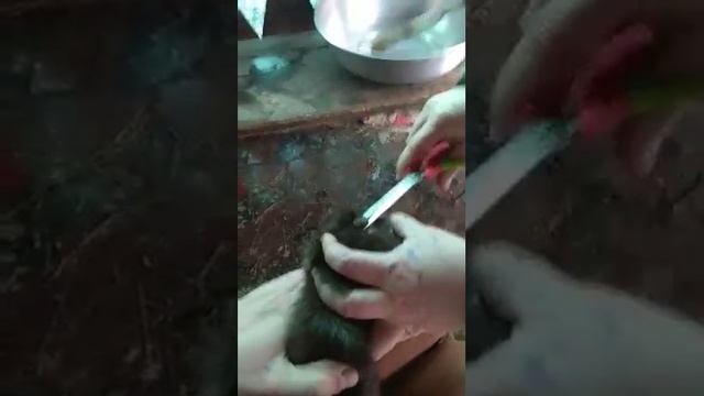 video 27fddea848902911f58cfd388efc09ac V смотреть онлайн