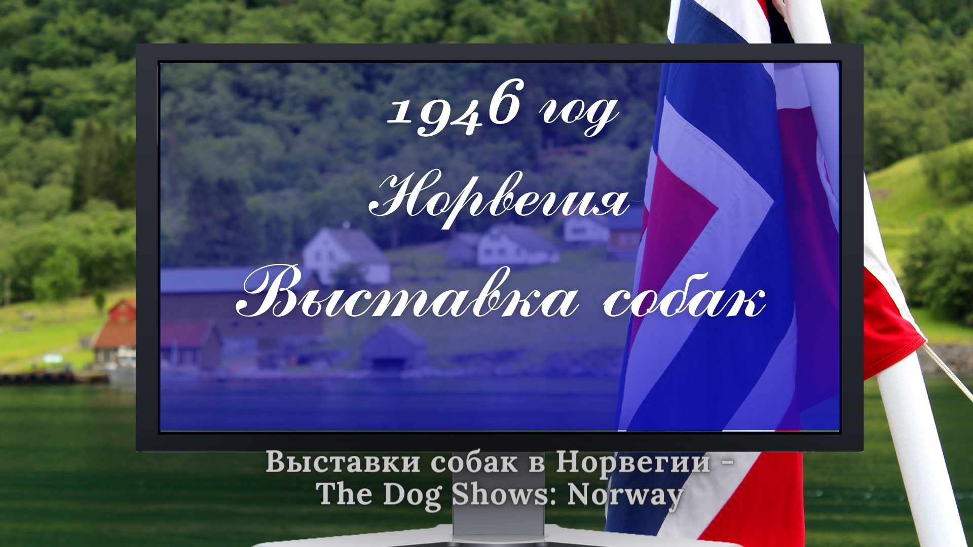 1946 г. Выставка собак в Норвегии.