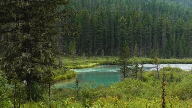 Горный Алтай. Мультинские озёра. Путешествие к ледникам и истокам рек смотреть онлайн