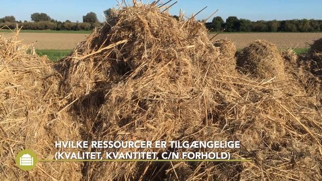 Termofil Kompost – Praktisk Information смотреть онлайн