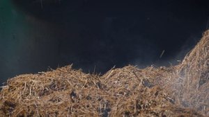 Как солому превращают в КОМПОСТ || расскажу @paramynut