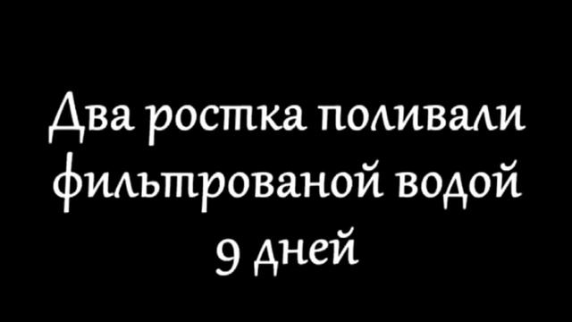 Ч 3 Почему мир сходит с ума؟ Часть 3 тья Что такое микроволновка, вы задумывались смотреть онлайн