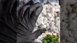 МРАМОРНАЯ КРОШКА