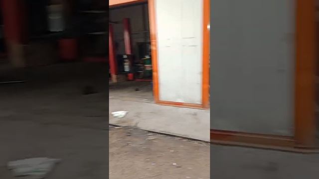 СТО - Алматы. Ремонт двигателей. смотреть онлайн