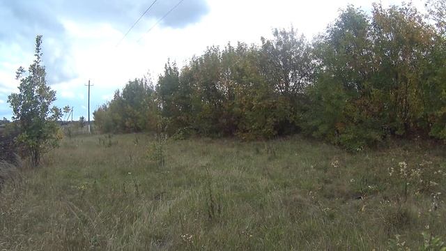 Поиск монет с  Garrett AT MAX (Около кладухи.Загадочная яма.)