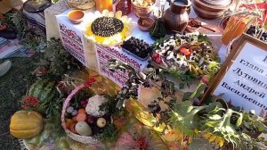 Ольшанка Уваровский район«Осенние дары русской усадьбы».