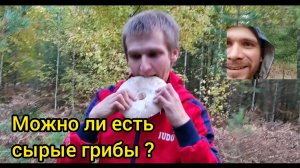 Можно ли есть грибы в сыром виде
