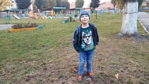 Ласточки пропали. Стих. Даниэль рассказывает.