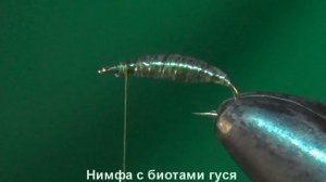 Нимфа с биотами гуся