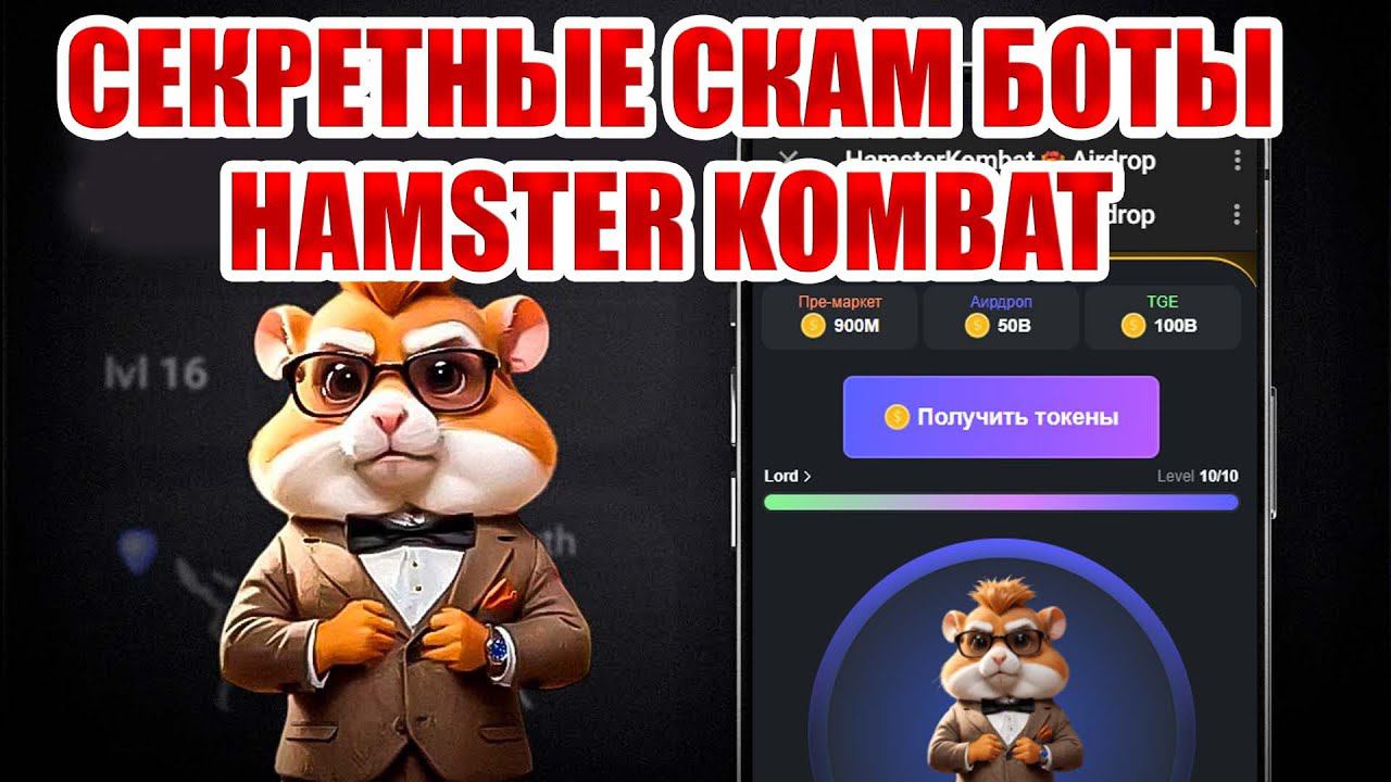 СЕКРЕТНЫЙ СКАМ БОТ Hamster Kombat - Разоблачение РАЗВОДА с ботами, вывод токенов HMSTR на кошельки