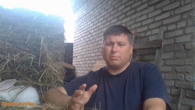 5 ПРАВИЛ кролиководства.ЧТО нужно для УСПЕШНОГО разведения кроликов. смотреть онлайн