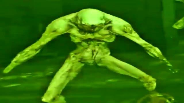 Монстр флекс FULL Ver