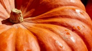 Тыквенная Диета На 2 Дня