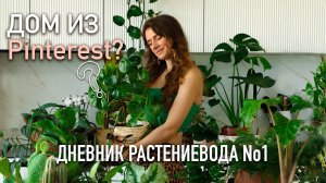 Дневник Растениевода No1 ☘️ | Как озеленить интерьер, новости о Greens и грандиозный переезд!