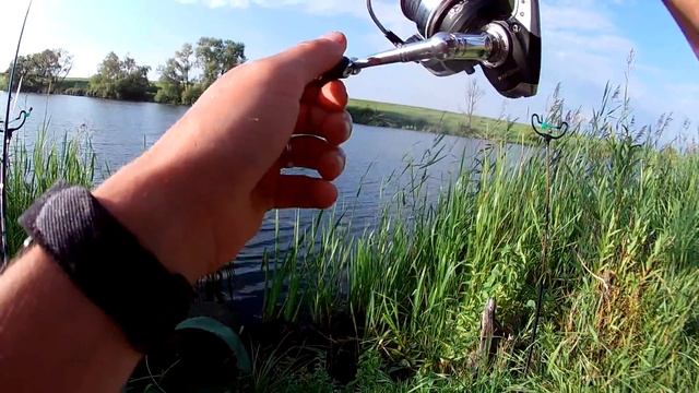 Рыбалка на фидер. Лещ. Река Дон. (LIveFishing) смотреть онлайн