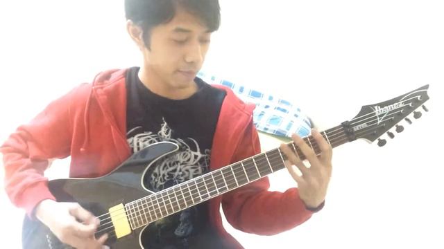 ANALEPSY - apocalyptic premonition guitar cover (Ibanez MTM2) смотреть онлайн