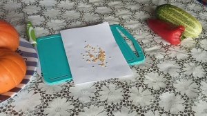 ЗАГОТОВКА СЕМЯН перца,огурцов из собственных овощей