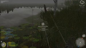 Русская рыбалка 4(рр4) - озеро Старый острог. Амур, окунь и угорь на Мелководье.