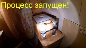 Инкубатор // Брудер //  Процесс запущен // Жизнь в деревне