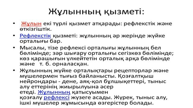 Жүйке жүйесінің бөлімдері смотреть онлайн