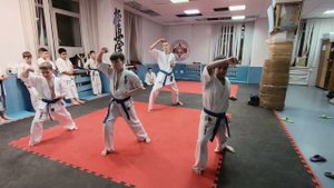 Ката/синие пояса/20.12.22/STRUIN DOJO
