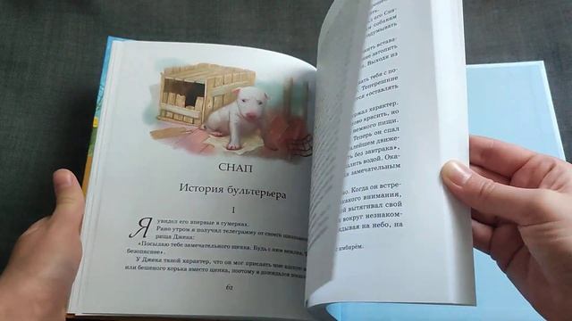 Эрнест Сетон-Томпсон "Рассказы о животных" МАХАОН смотреть онлайн