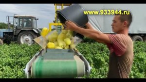 Уборка перца агрегатом ПВУ-18   www.933944.ru  8-800-222-67-11