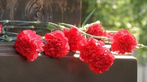 В Смоленске открыли памятник первому летчику России – Михаилу Ефимову