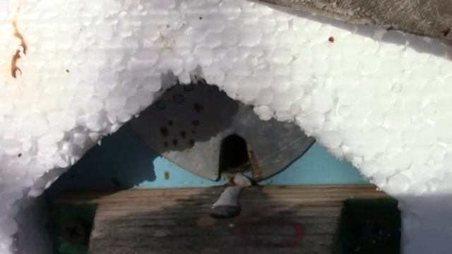 ПЧЁЛЫ Вентиляция улия, выбор заслонок смотреть онлайн