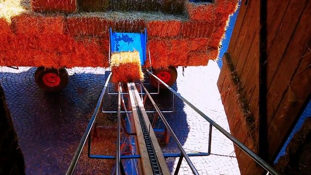 Сколько молока дают голштины летом.Заготовки корма на зиму. Обзор сеновала. Завозим  последнее сено смотреть онлайн