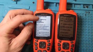 Как посмотреть версию Alpha 50