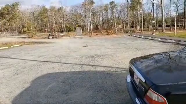 Retro Kyosho Tomahawk at The SKATE PARK смотреть онлайн