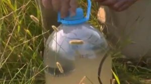 КАК ОЧИСТИТЬ ВОДУ С ПОМОЩЬЮ ЗМЕИ.