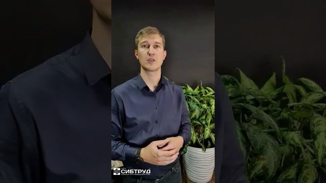 Внеплановая СОУТ при изменении СНИЛС смотреть онлайн