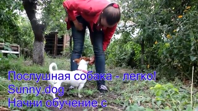 Обучаем выполнять Восьмёрку
