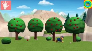 Paw Patrol - Finger Family | Щенячий патруль- Семья пальчиков