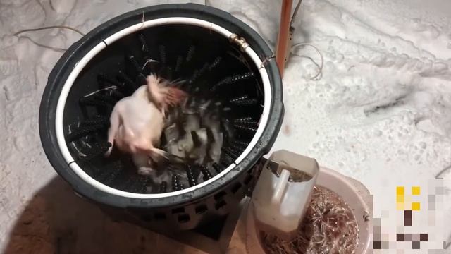 Перосъемная машина для кур Циклон 7 КА смотреть онлайн