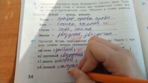 Проверяю проверочные работы по русскому языку 3 класс