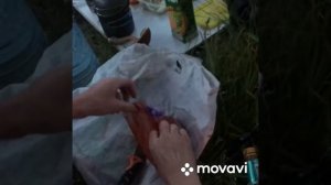 Рыбалка на трапперы!
