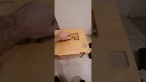 инструмент для установки дверей