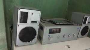 Акустическая система Сонет 10ас 231