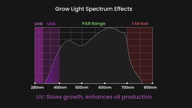 What is the best Grow Light Spectrum | Photosynthetically Active Radiation PAR explained