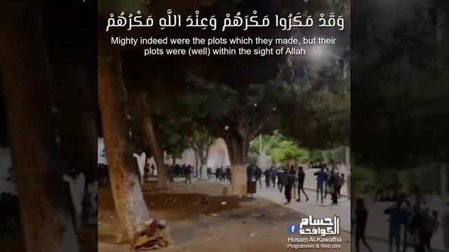 Сионистское угнетение на земле Палестины смотреть онлайн