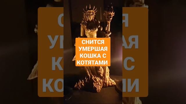 СНИТСЯ УМЕРШАЯ КОШКА С КОТЯТАМИ #ингахосроева #сон #сонник #соник #shorts #short #shortvideo