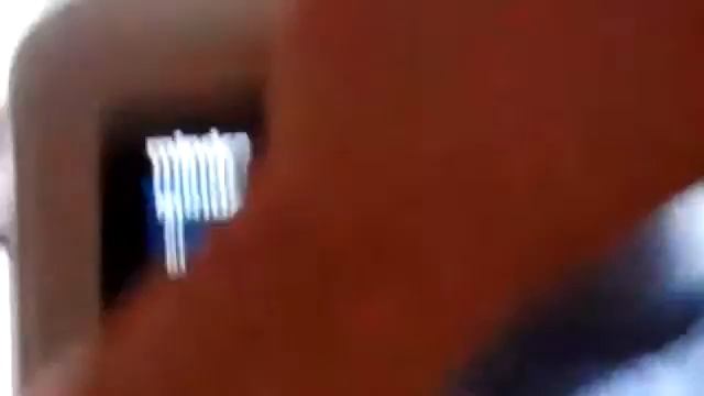 узи беременной собаки 32 день смотреть онлайн