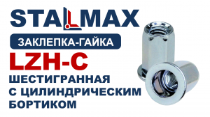 Испытание Заклепка шестигранная STALMAX LZH-C с цилиндрическим бортиком ОЦ