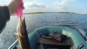 Ловля щуки на Днепре/Убойный Воблер/ jackall mag squad 115 sp