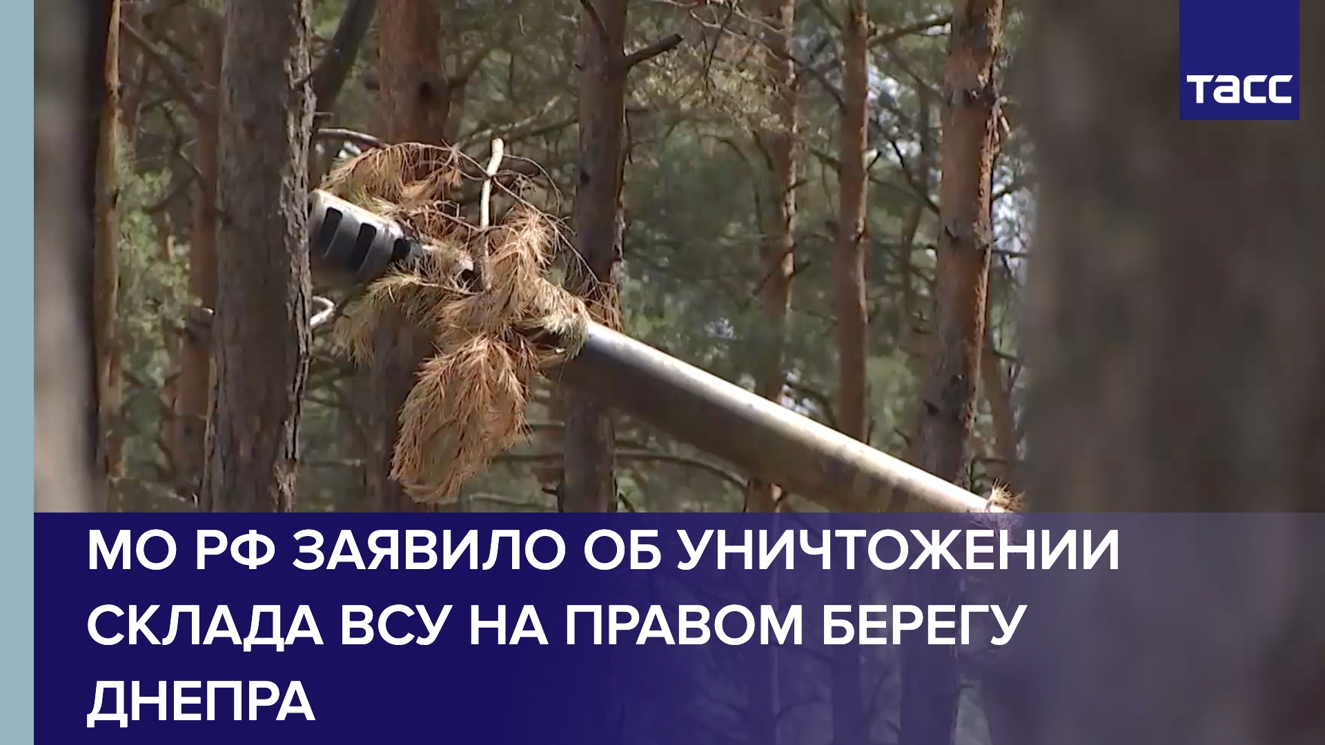 МО РФ заявило об уничтожении склада ВСУ на правом берегу Днепра